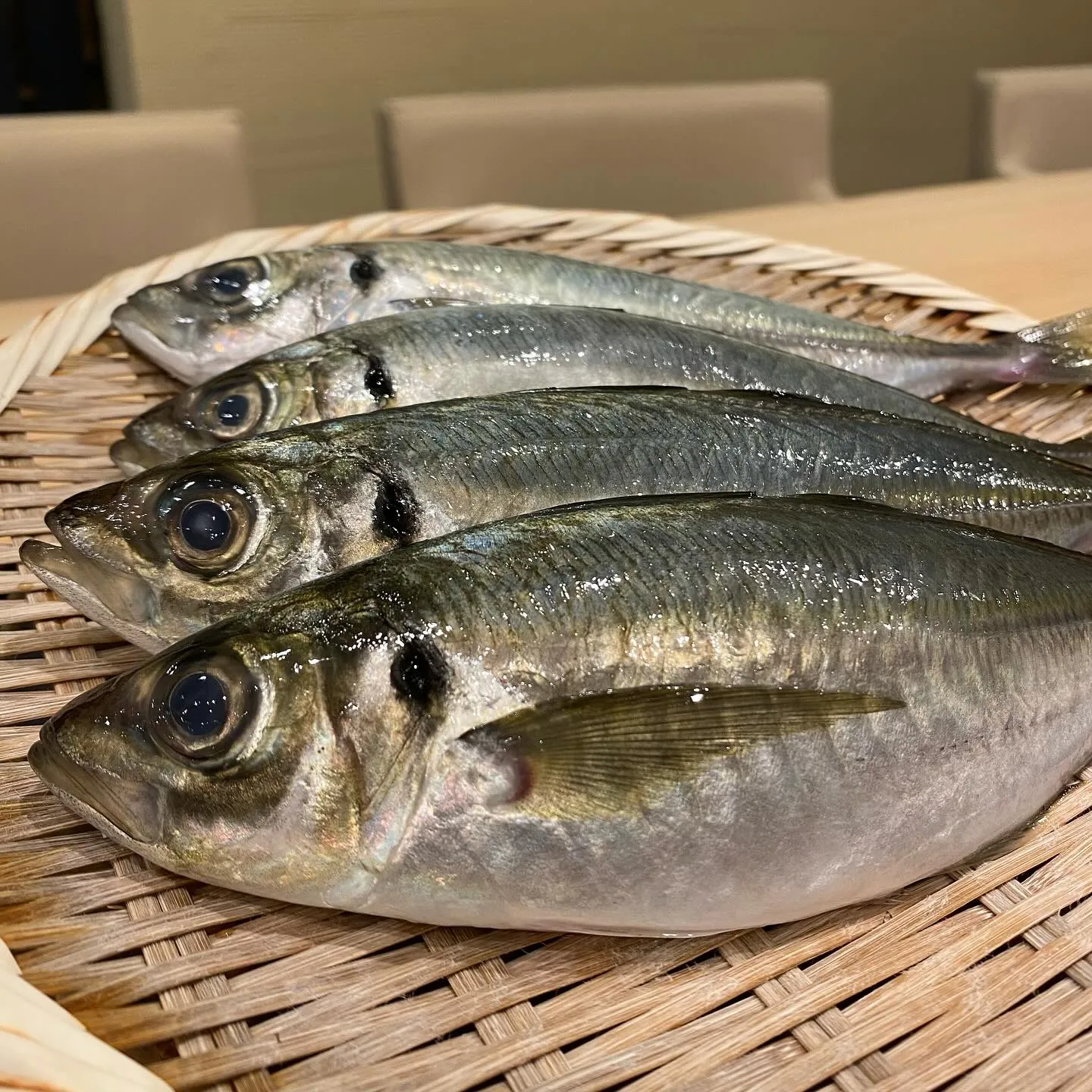 皆様おはようございます🌞鮨阿部です🍣