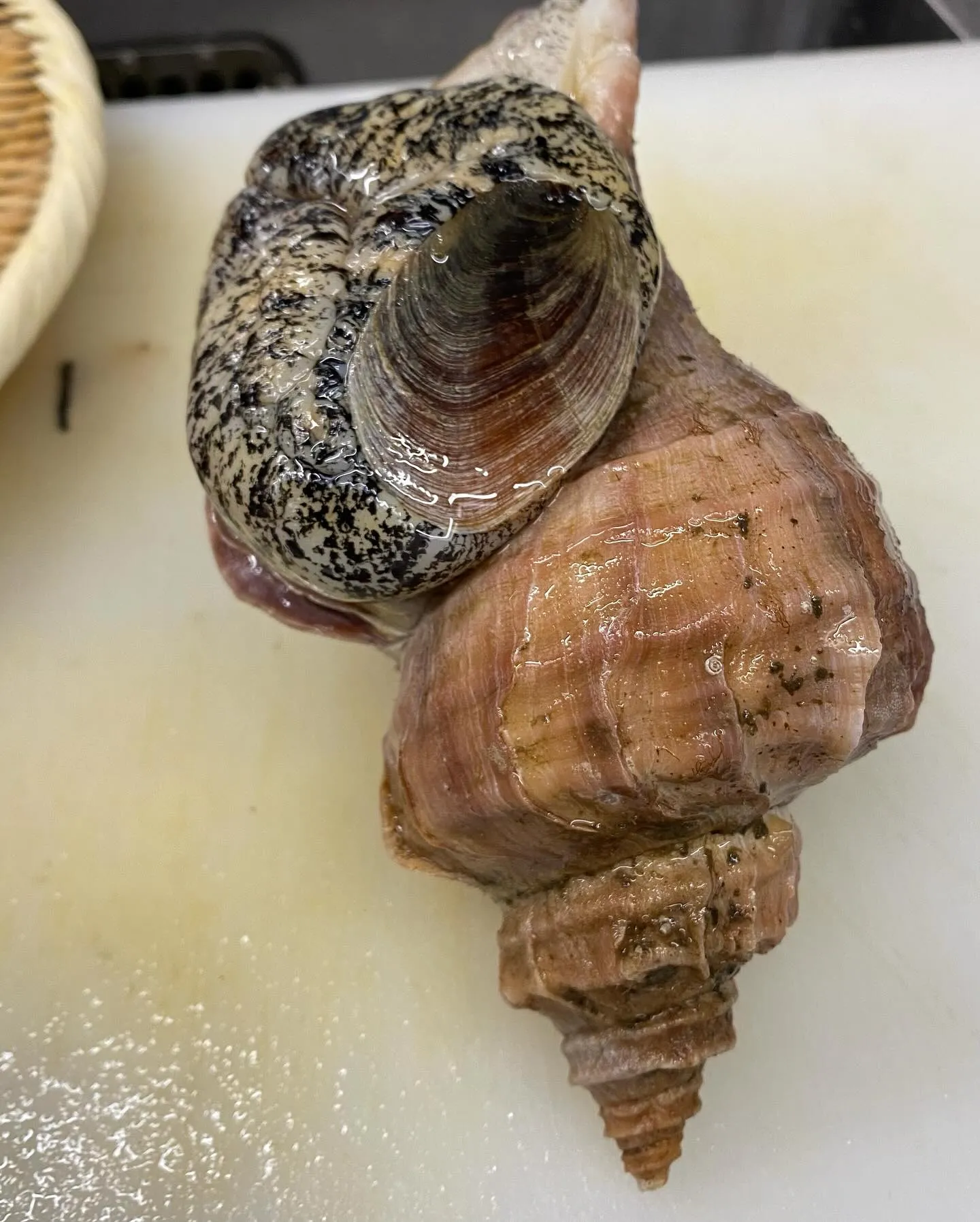 皆様こんにちは、鮨阿部です🍣